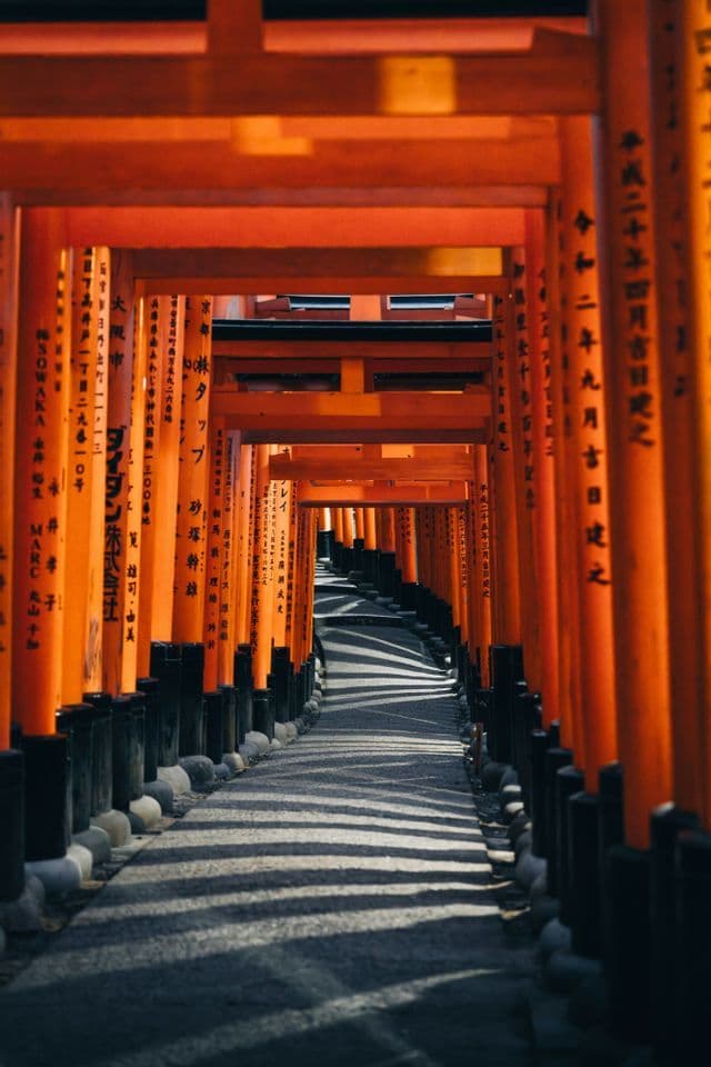 A stone path passes under a long series of orange torii gates, with sunlight casting linear shadows across the ground.