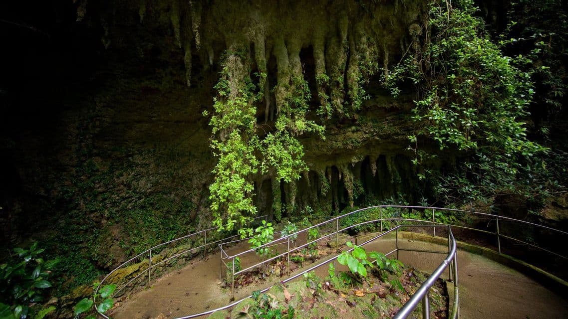 Un sentiero lastricato con ringhiere metalliche scende verso l'ingresso di una grotta oscura, rigogliosa di muschio, viti e piante pendenti.