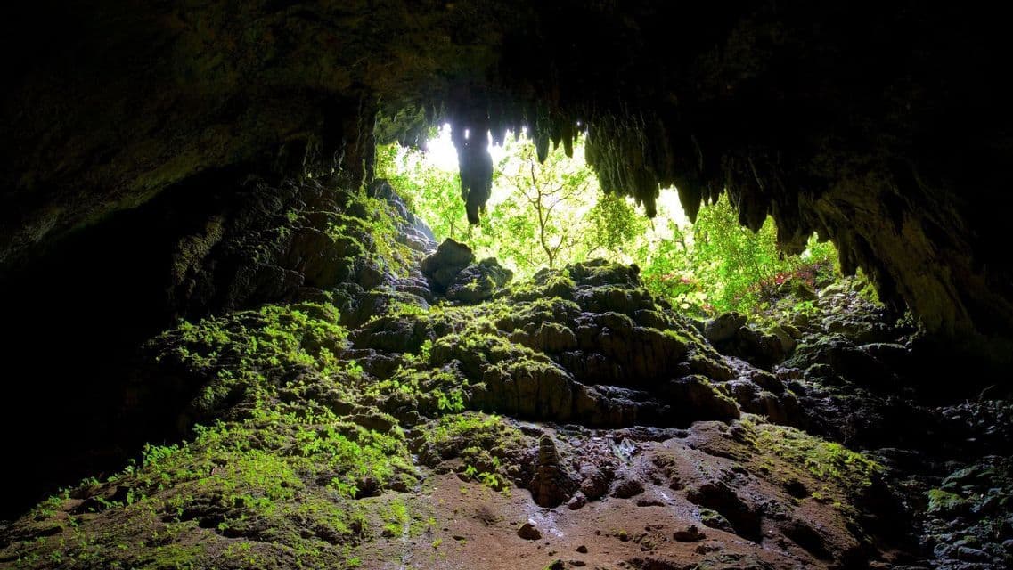 Una vista dall'interno di una grotta buia mostra rocce coperte di muschio che conducono a un'apertura illuminata dal sole che rivela una foresta verde.