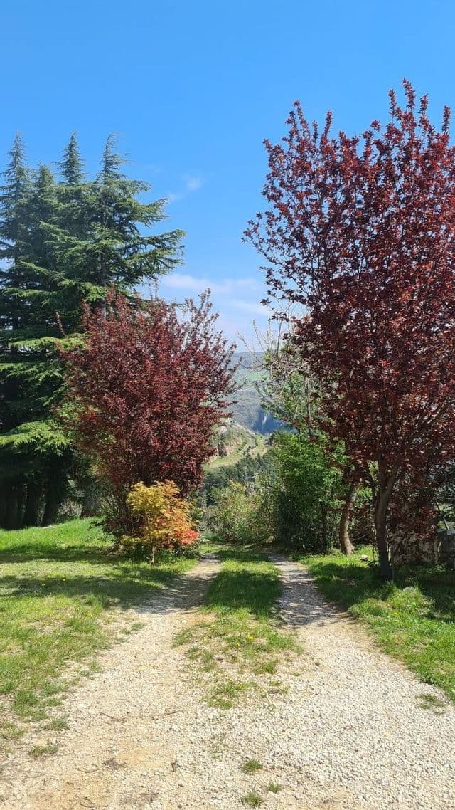 Un sentiero ghiaioso si biforca tra alberi colorati su una collina erbosa, rivelando una vista sulla valle in lontananza sotto un cielo azzurro.