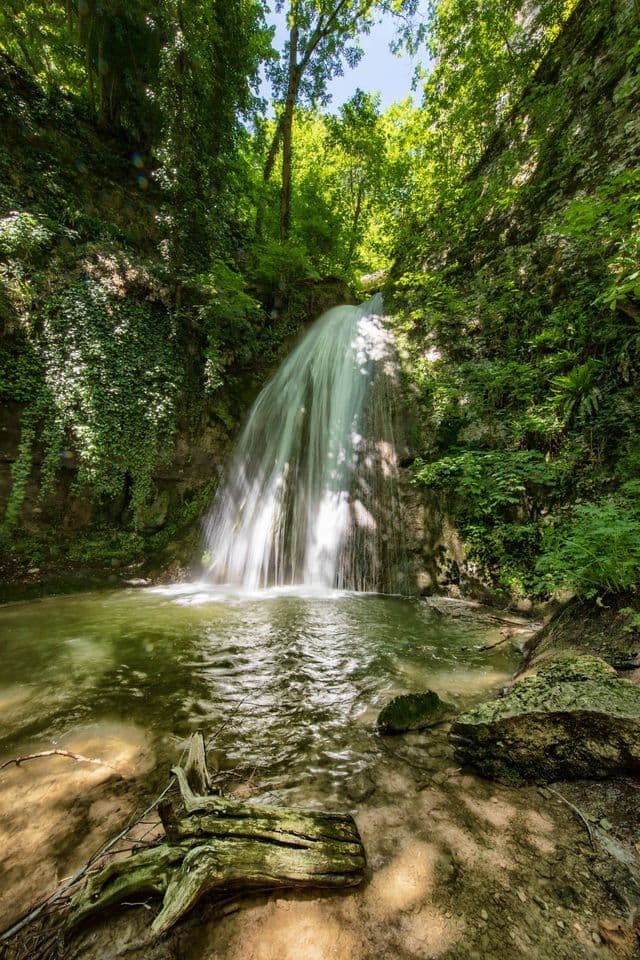 Una cascata scende da una scogliera rocciosa ricoperta d'edera in una pozza verde e poco profonda, immersa in una foresta illuminata dal sole.