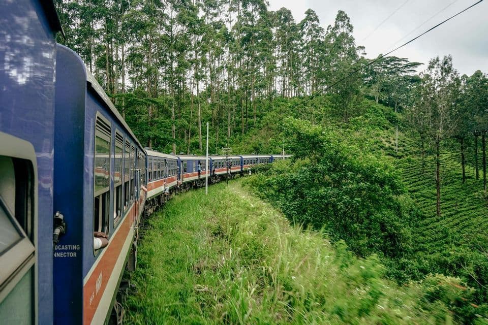 Un tren azul y rojo viaja por una vía que serpentea a través de un exuberante paisaje de árboles verdes y colinas.