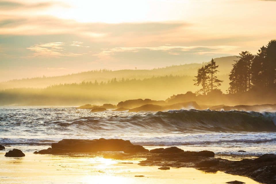 Eine felsige Küste mit Pinienbäumen wird vom goldenen Licht des Sonnenuntergangs gebadet, während Wellen an das Ufer schlagen.