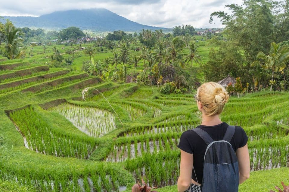A woman with a backpack looks out over green, terraced rice paddies, with a large mountain in the background under a cloudy sky.