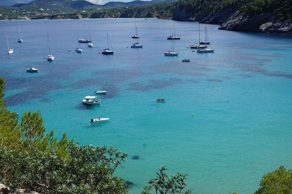 Vista elevada de veleros y embarcaciones pequeñas anclados en una bahía tranquila de aguas turquesas, con una costa montañosa y arbolada al fondo.