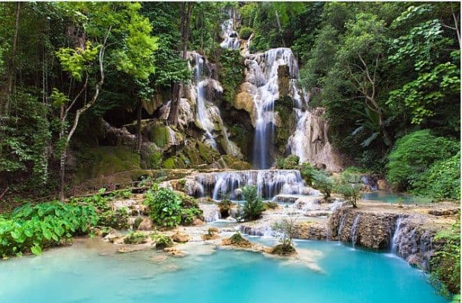 Une cascade à plusieurs niveaux dévale des rochers moussus pour se jeter dans plusieurs bassins turquoise au cœur d'une jungle luxuriante et verdoyante.
