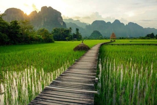 Une passerelle en bois serpente à travers une rizière inondée et verdoyante avec de hautes montagnes karstiques en arrière-plan au coucher du soleil.