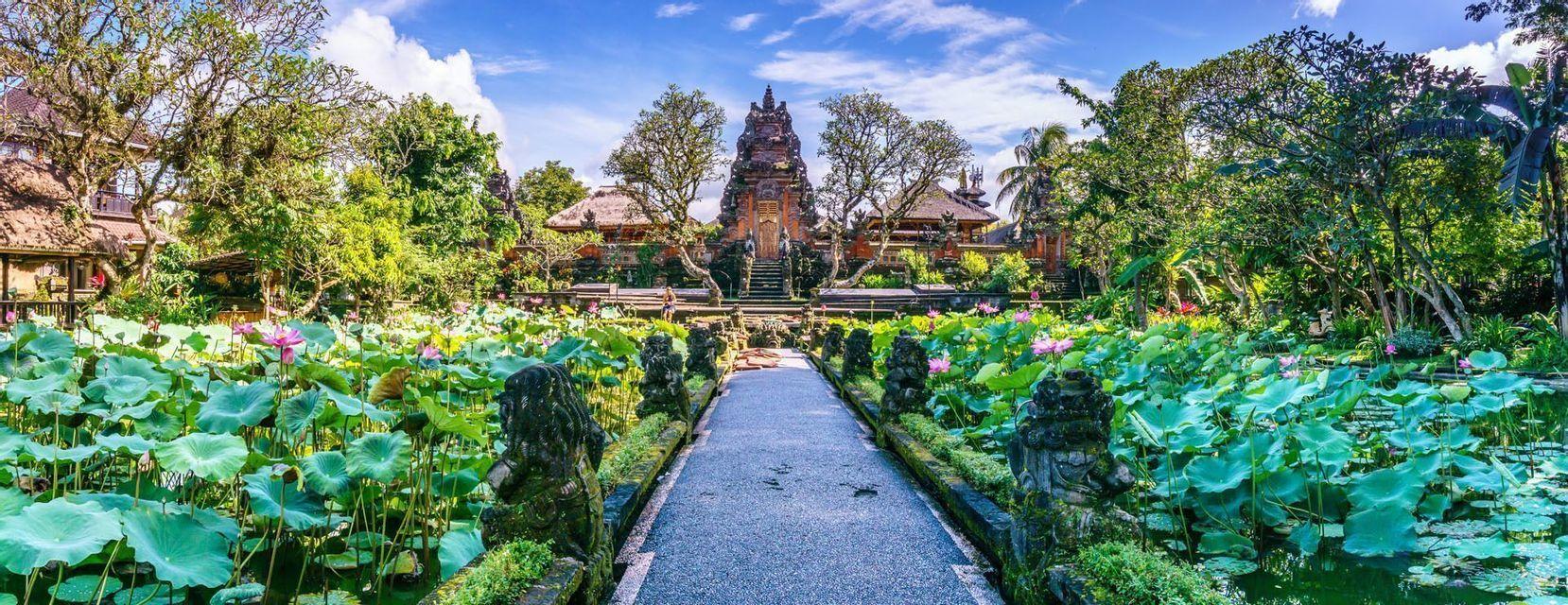 A stone pathway leads towards an ornate temple, flanked by ponds filled with pink lotus flowers and lush green foliage.