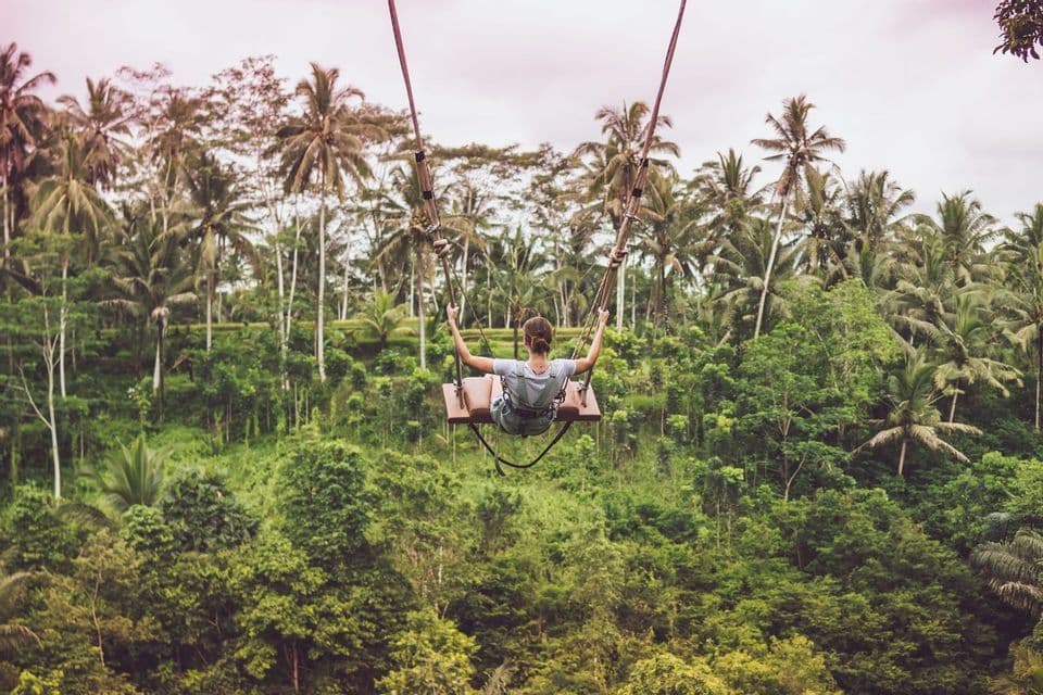 A person seen from behind on a large swing, soaring over a dense tropical forest filled with palm trees.