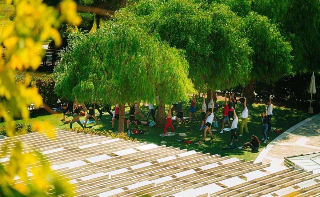 Un viaggio di gruppo WeRoad partecipa a una sessione di yoga all'aperto su un prato verde sotto alberi frondosi.