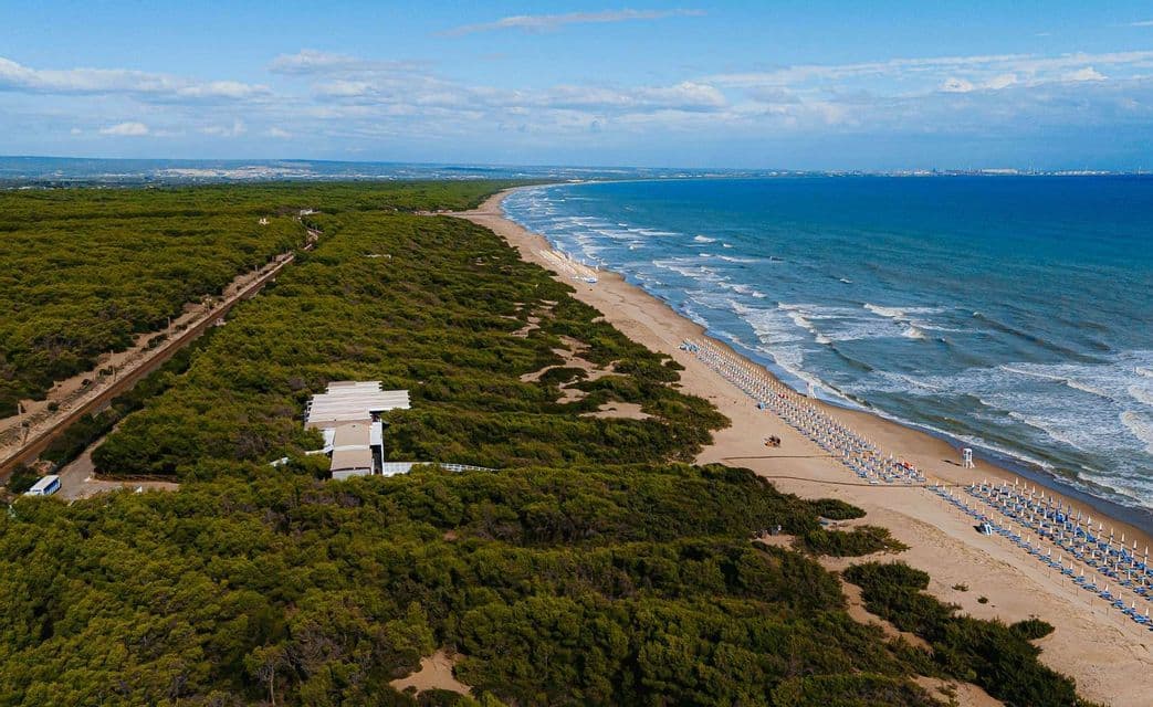 Una vista aerea di una lunga costa con una spiaggia sabbiosa, una fitta foresta verde e file di ombrelloni accanto al mare blu.