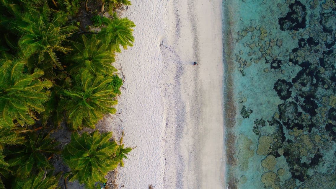 Vista aerea dall'alto di una persona su una spiaggia di sabbia bianca vicino a palme e acqua turchese trasparente con corallo.