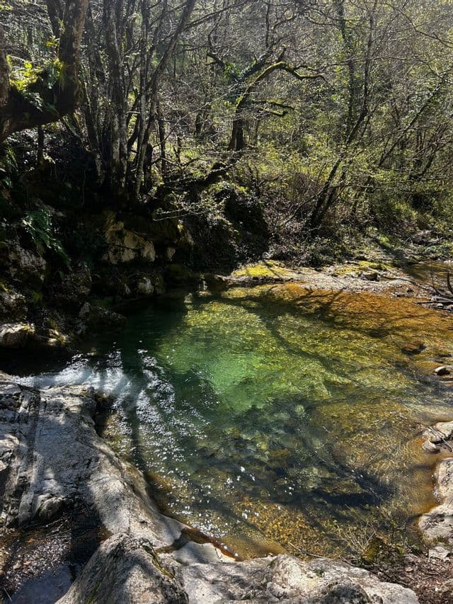 Una pozza limpida di acqua color smeraldo e ambra in un ruscello roccioso nel bosco, con la luce del sole che filtra tra gli alberi.