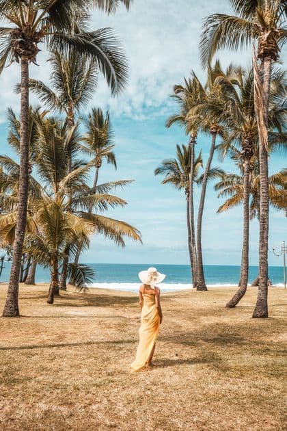 Une femme en robe jaune et chapeau blanc se tient sur une zone herbeuse, regardant l'océan entre de grands palmiers.