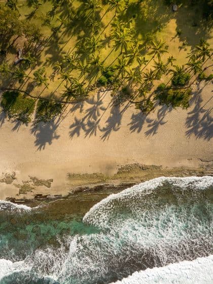 Vue aérienne d'une plage tropicale avec des palmiers projetant de longues ombres sur le sable et les vagues déferlantes de l'océan.