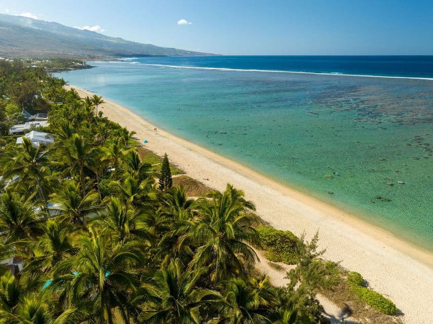 Vue aérienne d'une côte tropicale avec une longue plage de sable, une eau turquoise et limpide au-dessus d'un récif, et une forêt de palmiers.