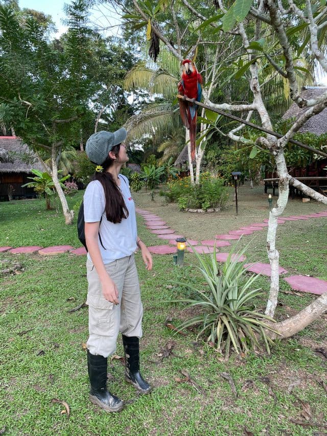 Eine Frau mit Mütze und Stiefeln blickt zu einem scharlachroten Ara auf, der auf einem Baumzweig in einem üppigen Garten sitzt.