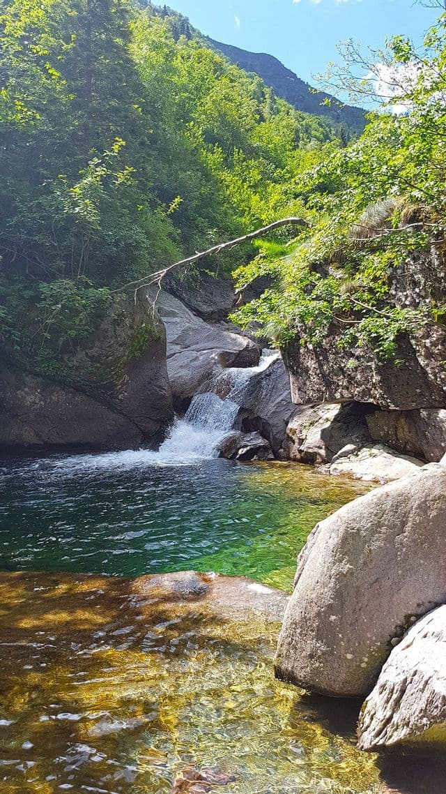 Una piccola cascata scorre su grandi rocce in una pozza limpida e verde smeraldo in una foresta lussureggiante e soleggiata.