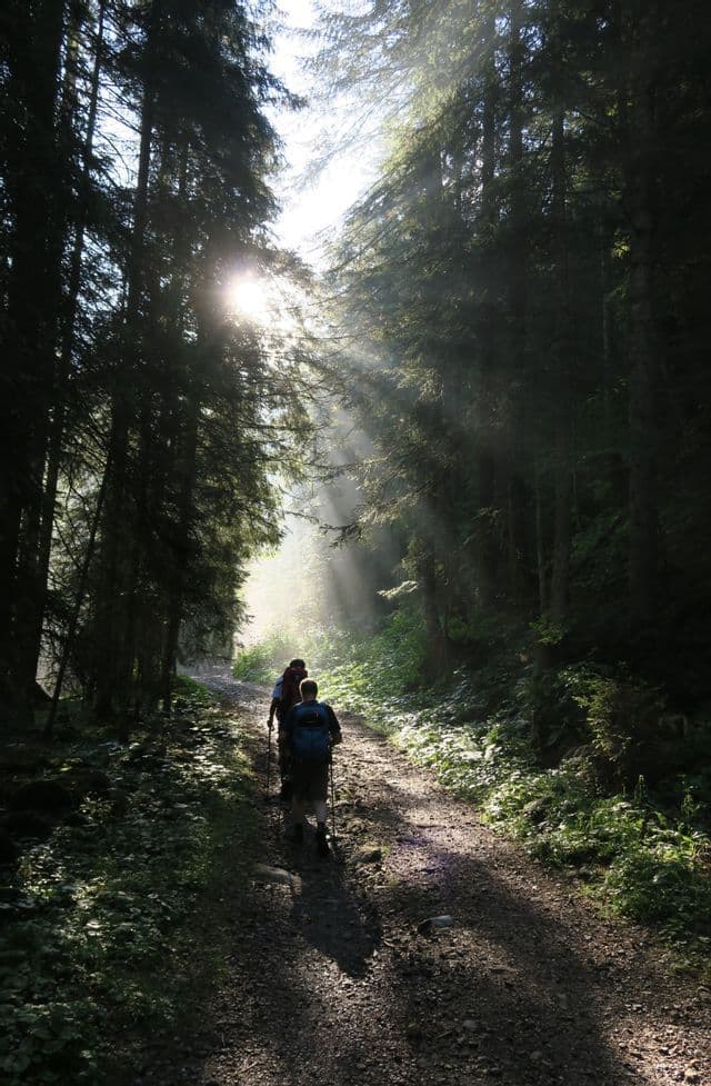 Due escursionisti di un viaggio di gruppo WeRoad camminano su un sentiero in una foresta, con raggi di sole luminosi che filtrano tra gli alberi.