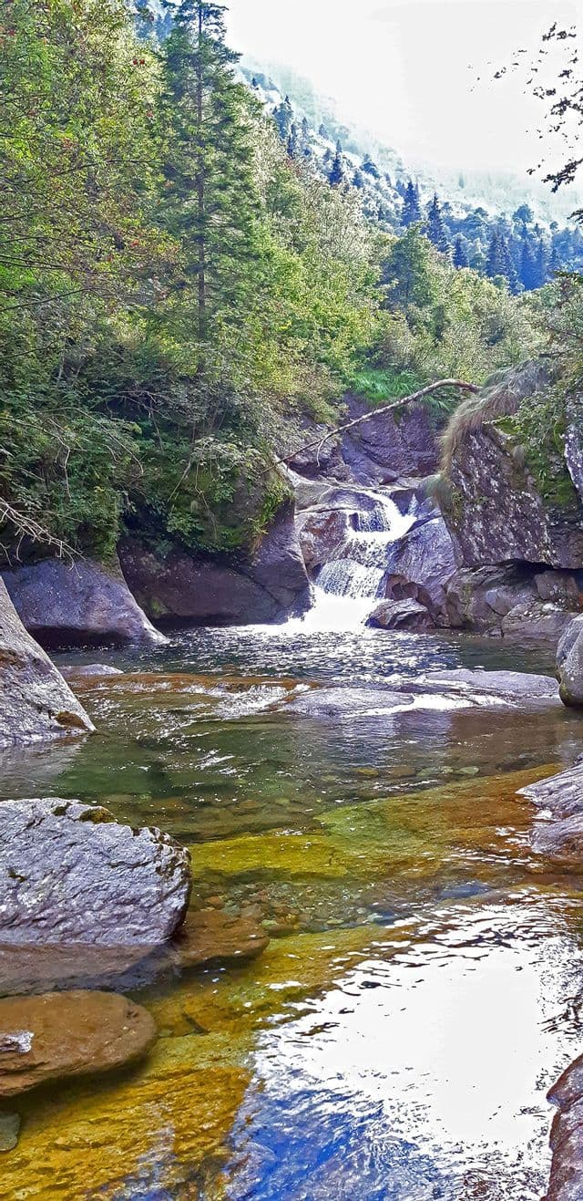 Un ruscello limpido con un letto roccioso scorre su una piccola cascata, circondato da una lussureggiante foresta verde su un fianco di montagna.
