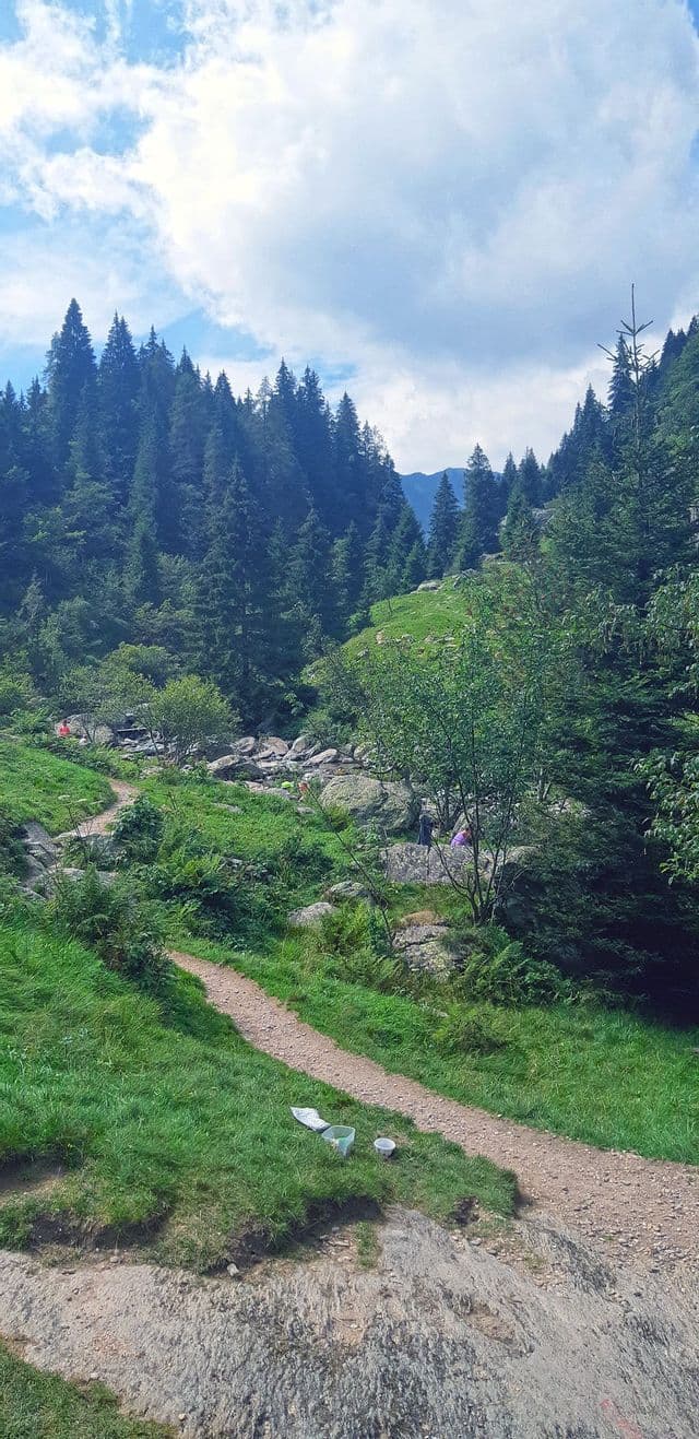 Un'escursione di gruppo WeRoad percorre un sentiero sterrato in una verde valle di montagna circondata da fitte foreste di pini sotto un cielo parzialmente nuvoloso.
