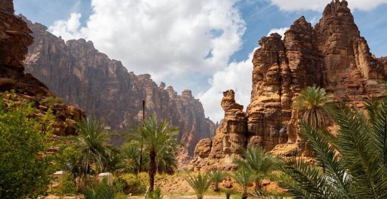 Alte e frastagliate formazioni rocciose rosse si ergono sopra una valle di palme verdi sotto un cielo parzialmente nuvoloso.