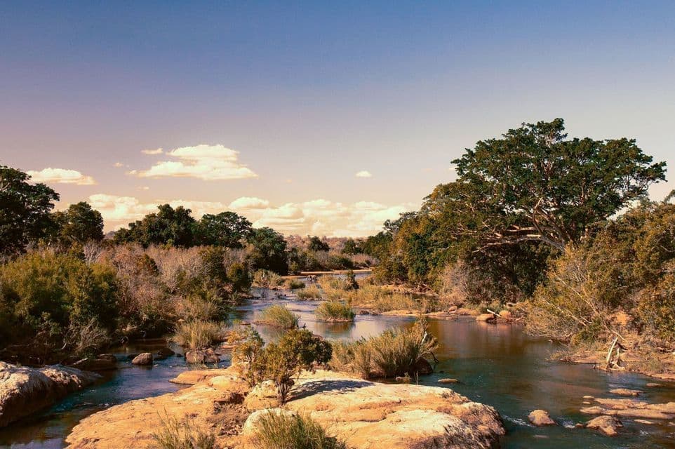 Ein breiter Fluss fließt durch eine felsige Landschaft, umgeben von dichten Büschen und Bäumen, unter einem klaren blauen Himmel mit vereinzelten Wolken.