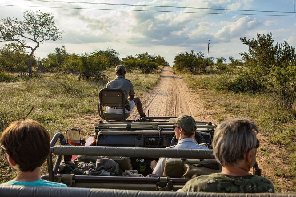 Eine WeRoad Gruppenreise auf Safari, vom Rücksitz eines Jeeps aus, der eine unbefestigte Straße in der Savanne entlangfährt.