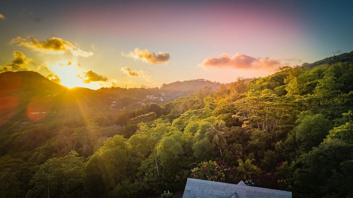 Il sole tramonta dietro una montagna rigogliosa e verde, proiettando una luce dorata su una fitta foresta tropicale sotto un cielo colorato.