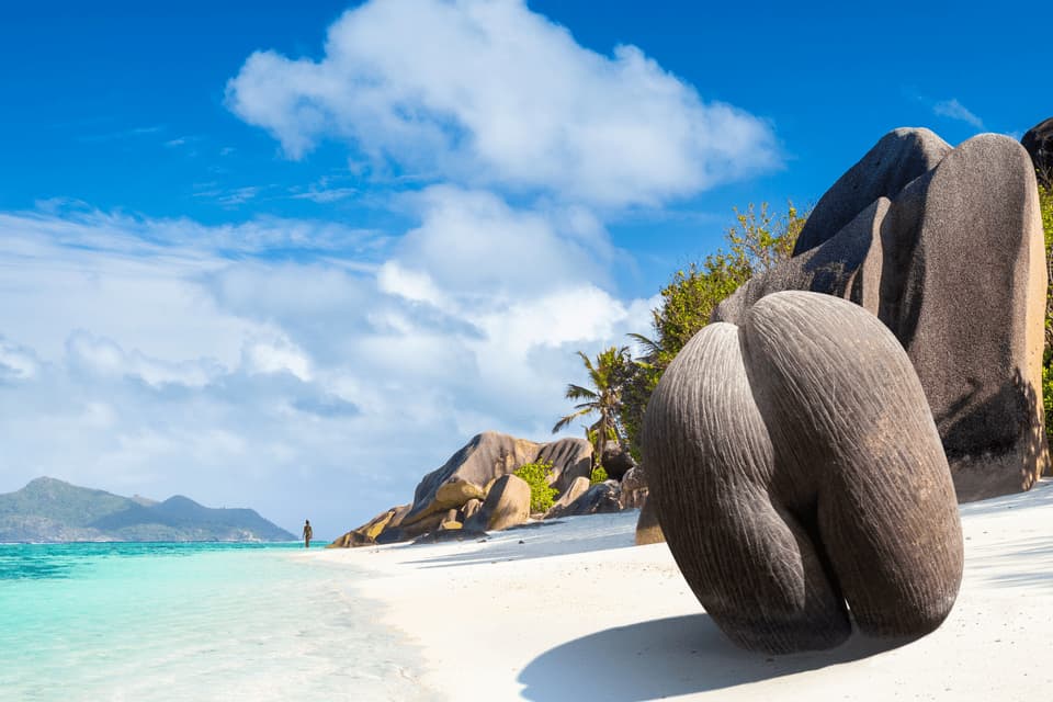 Una noce di Coco de Mer giace su una spiaggia di sabbia bianca con acqua turchese, grandi massi di granito e una persona in lontananza.