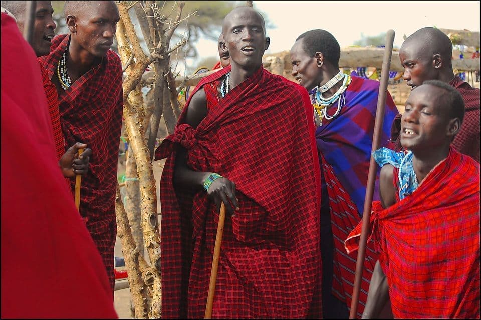 A group of Maasai men in traditional red plaid robes and beaded jewelry stand together outdoors, holding wooden staffs.