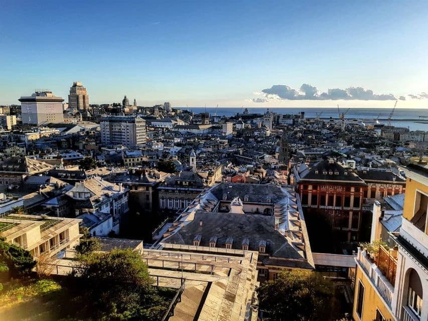 Una vista elevata diurna sui tetti di una fitta città costiera, con un porto e il mare visibili in lontananza.