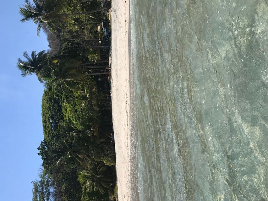 Una spiaggia di sabbia bianca separa le acque chiare e poco profonde dell'oceano da una fitta giungla tropicale piena di palme.