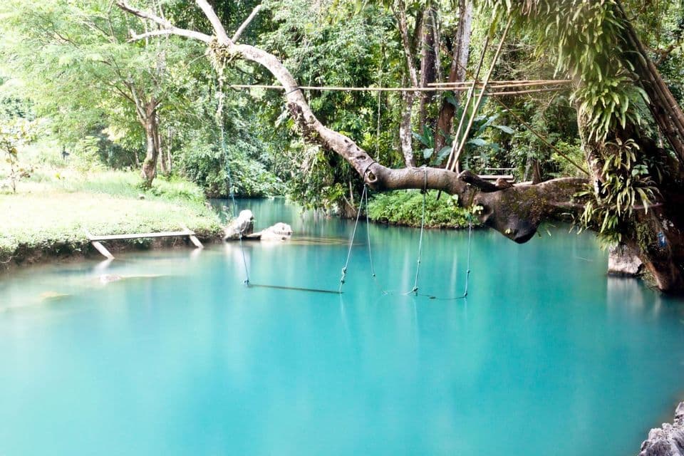 Eine Seilschaukel hängt an einem großen Ast über einem ruhigen Fluss mit türkisfarbenem Wasser, umgeben von üppigem Dschungel.