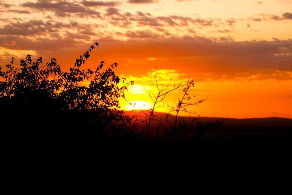 Silhouetted trees and hills against a vibrant orange sunset with scattered clouds in the sky.