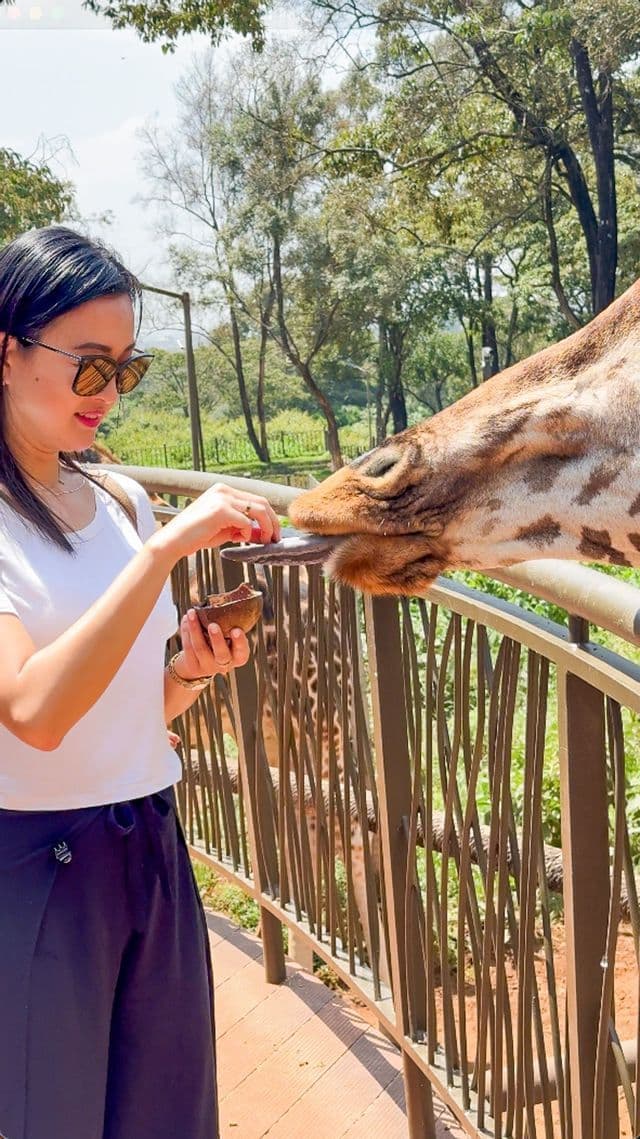 A woman with sunglasses feeds a giraffe by hand from a small bowl over a railing on an outdoor platform.