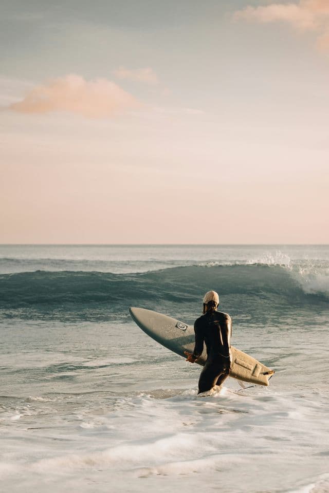 A surfer in a wetsuit, seen from behind, carries a surfboard while walking into the ocean towards the waves.