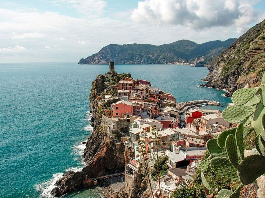 Un borgo di case colorate costruito su una scogliera rocciosa a picco sul mare blu, con una pianta di cactus in primo piano.