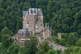 Un grande castello di pietra con torrette multiple e tetti in ardesia si erge su una collina circondato da una fitta foresta verde.