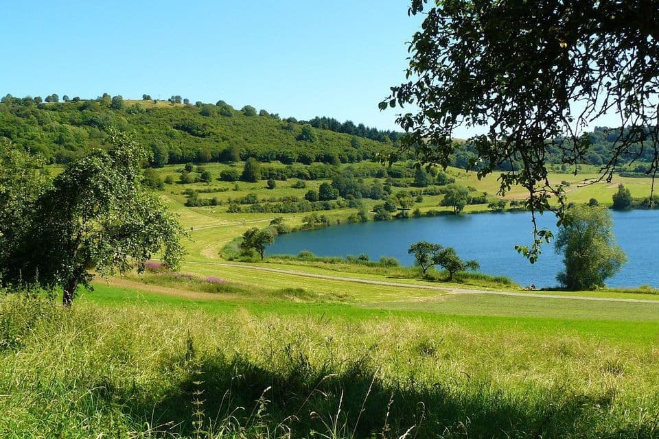 Un placido lago blu circondato da dolci colline verdi costellate di alberi sotto un cielo sereno, visto da un pendio erboso.