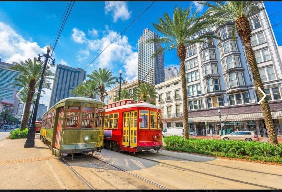 A red and a green streetcar on city tracks, flanked by palm trees and buildings under a blue sky.