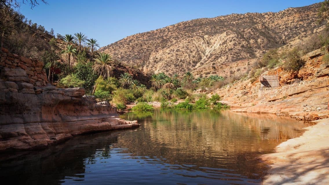 A tranquil oasis pool nestled in a rocky canyon, surrounded by palm trees and arid hills under a clear blue sky.