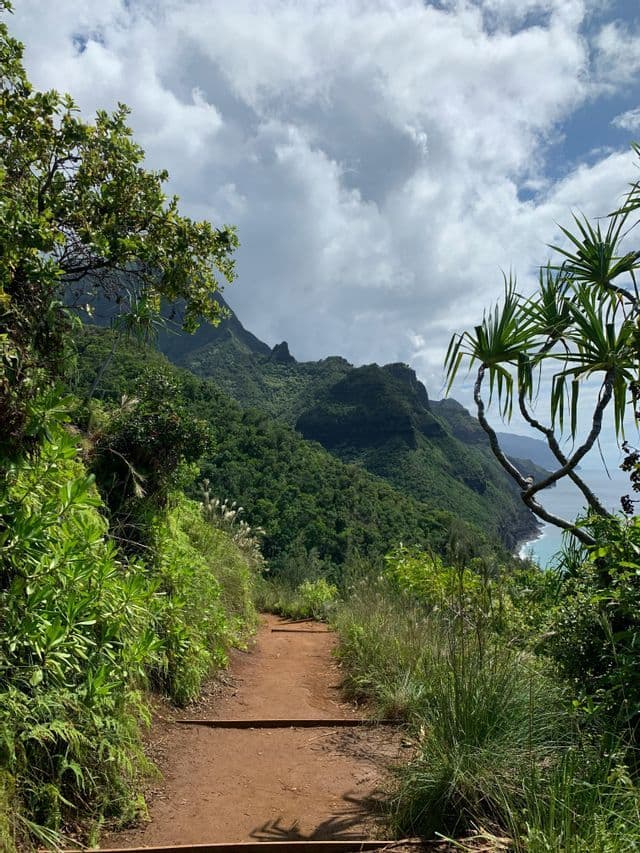 Un sentiero escursionistico sterrato con scalini di legno su un fianco di montagna lussureggiante e verde, affacciato sull'oceano sotto un cielo nuvoloso.