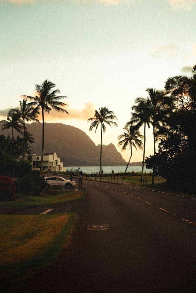 Una strada costiera si snoda tra alte palme, con l'oceano e le montagne sullo sfondo durante un tramonto dai toni caldi.