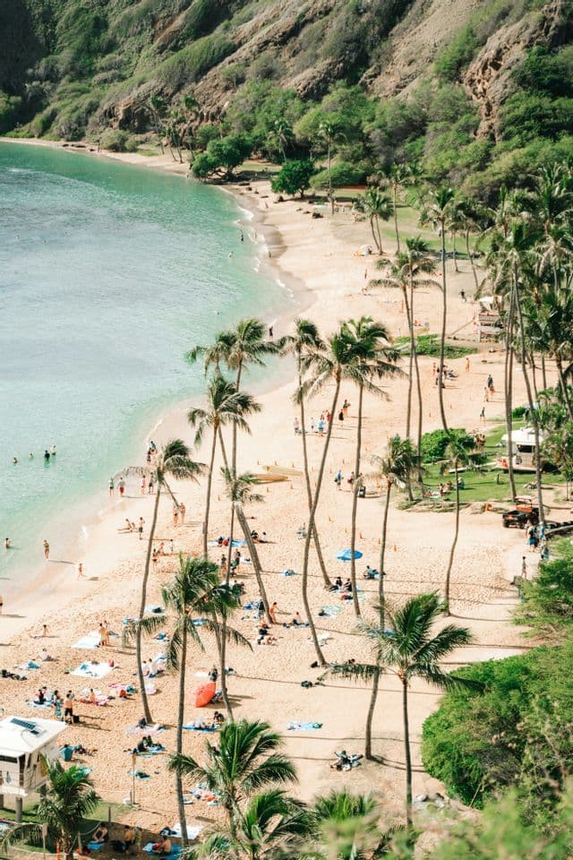 Una vista aerea di una spiaggia tropicale affollata con alte palme, rive sabbiose e acqua turchese trasparente.