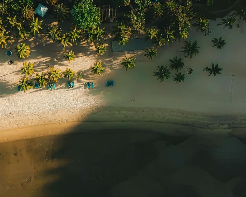 Eine Vogelperspektive auf einen Sandstrand mit Palmen, die lange Schatten über blaue Sonnenliegen nahe dem Wasser werfen.