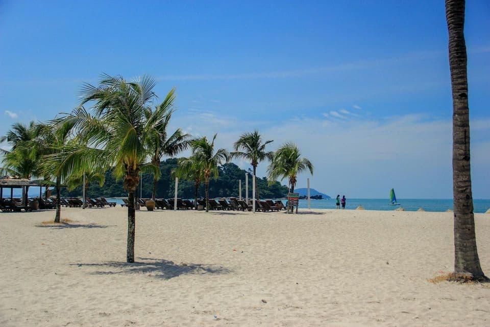 Ein breiter, sandiger Strand mit Palmenreihen und leeren Liegestühlen, mit Blick auf einen ruhigen blauen Ozean und ein Segelboot in der Ferne.