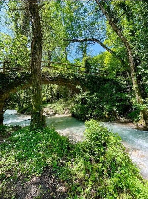 Un antiguo puente de arco de piedra cubierto de hiedra y follaje cruza un arroyo claro en un bosque exuberante y soleado.
