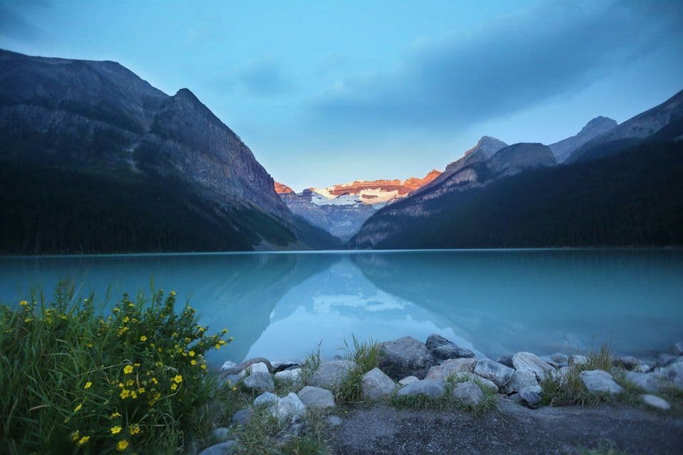 A calm, turquoise lake reflects mountains and a sunlit glacier at twilight, with yellow wildflowers on the rocky shore.