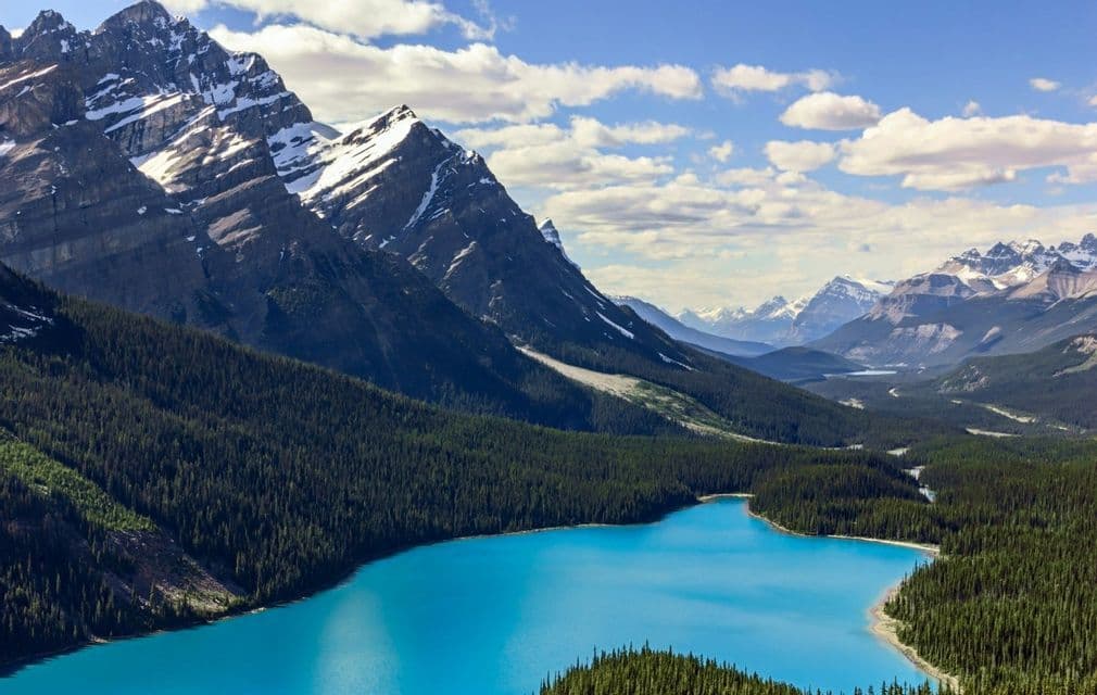 A turquoise lake is surrounded by a pine forest and snow-capped mountains under a blue sky with white clouds.